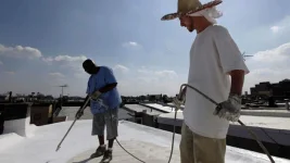 li-620-white-roofs-9397133.webp li-620-white-roofs-9397133.webp