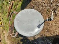 elipt_dish.webp
