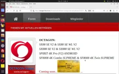 Screenshot from 2023-12-31 12-46-46.webp