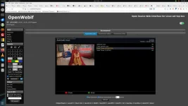 Screenshot from 2024-01-02 14-04-55.webp