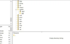 Capture_3.webp