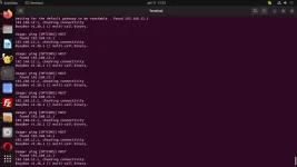 ping-in-terminal.webp