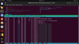 sf8008-htop-2025-02-06 17-13-18.webp