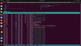 htop- 2025-02-13 02-56-05.webp