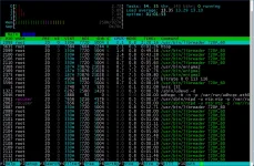 Snap10319 Htop.webp