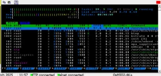 htop pli1.webp