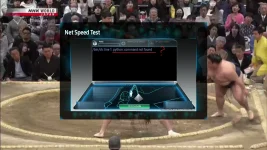 netspeed.webp