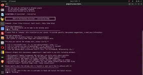 xdreamy 2025-12-06 10-44-04.webp