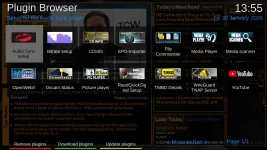 Plugin browser displays over video display.webp