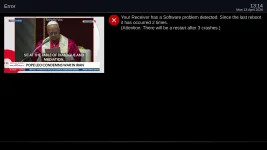 Software problem.webp