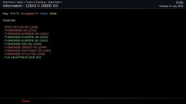 vix.webp vix.webp