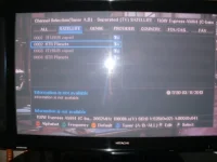 221.webp