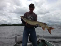 muskie_june_2_2013.webp