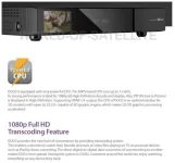 Vu duo2 2.webp