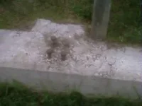 o_aabb0fdb773ec2dd-17.webp o_aabb0fdb773ec2dd-17.webp