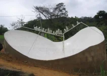 Dish.webp