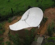 Dish 2.webp