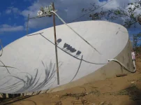 Dish 4.webp