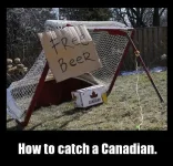 catch a canuck.webp