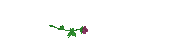 z_Have a great day.gif
