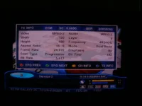 009.webp