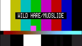 WILD HARE PATH  #2503_164709.trp_snapshot_00.02_[2014.03.25_16.54.33].webp