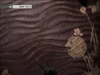 TV 1 - 12040H Galax @184529_03JUL2014.ts_snapshot_00.01_[2014.07.03_15.56.59].webp