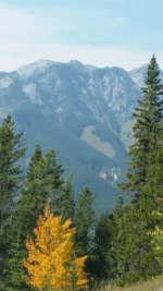 Mountains.webp