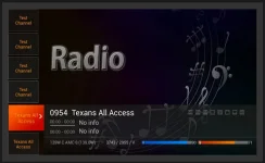 z_Radio channels.webp