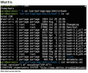 z_Bash.webp