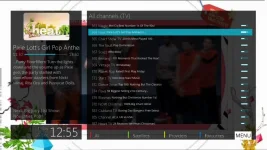 EPG.webp