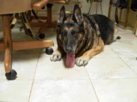 DSCN0270.webp