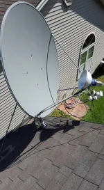 12039710_1019166108117599_286849174107802071_n.webp 12039710_1019166108117599_286849174107802071_n.webp