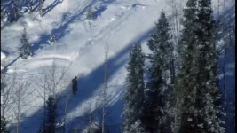 snow.webp