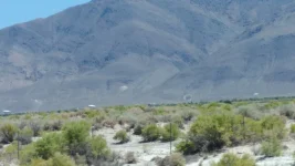 owens valley dish farm.webp