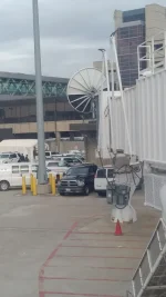 bos dish.webp