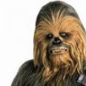 chewie