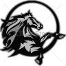 bronco