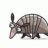 armadillo_115
