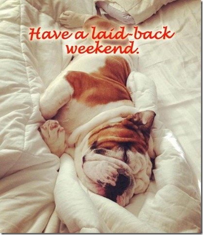 happy20laid20back20weekend_dog1.jpg