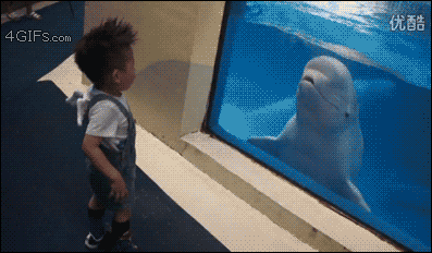 tumblr_mvk19g3N6g1qdlh1io1_400.gif