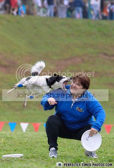 ui2ik531fcc453bviewattth12edde9e250-17.jpg