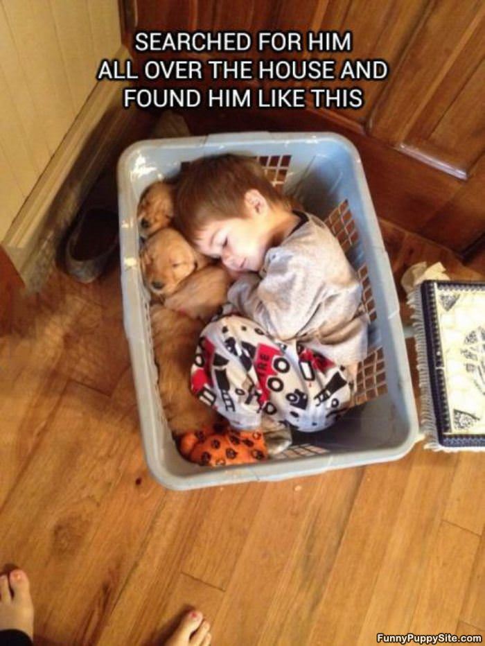 Found_Like_This.jpg