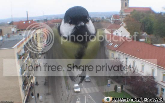 ui2ik531fcc453bviewattth12edde9e250-8.jpg
