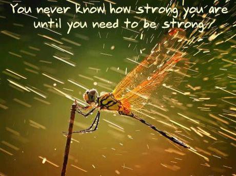 quotes-of-the-day-L-TJNIYu.jpeg