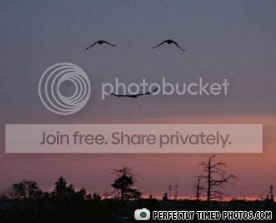ui2ik531fcc453bviewattth12edde9e250-4.jpg