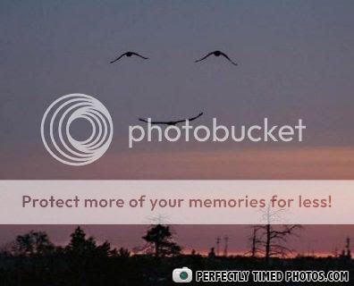 ui2ik531fcc453bviewattth12edde9e250-4.jpg