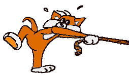 welcome_cat.gif